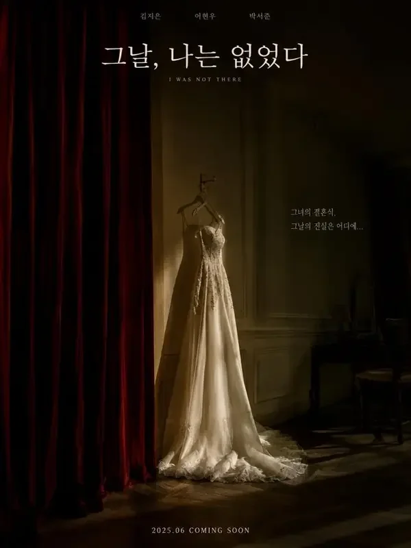 消失的未婚妻 短剧封面